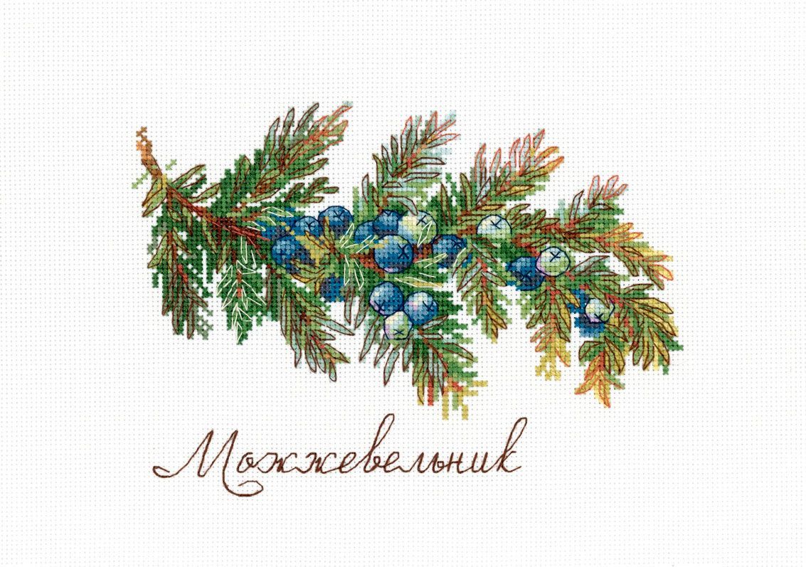 Cross Stitch Kit "Gifts of Nature: Juniper" SNV-913 – Botanical Motif