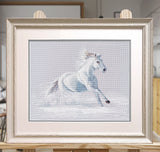 Cross Stitch Kit "Grace in Motion" S1668