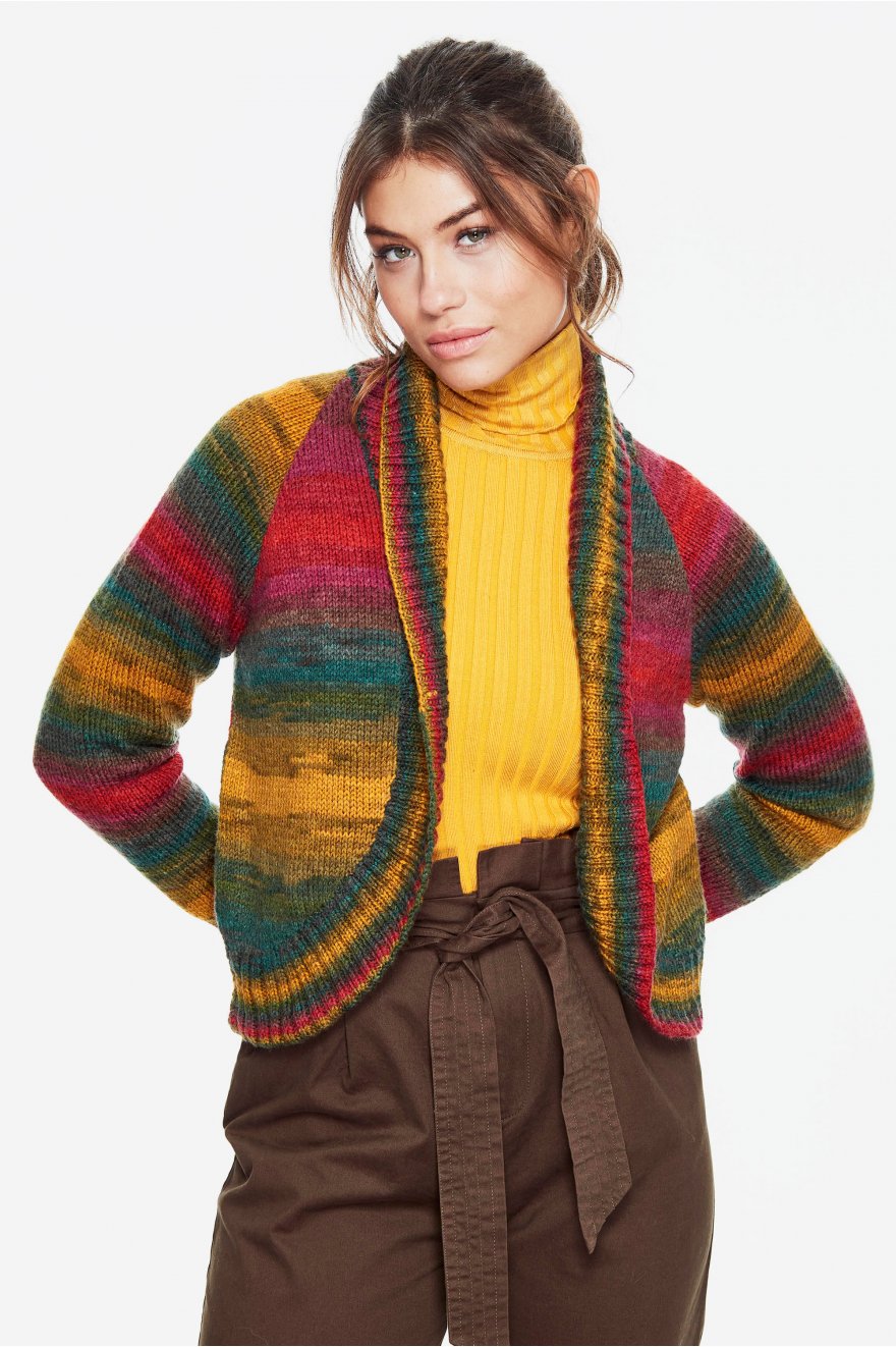 DMC Brio: Multicolor Wool with Gradient Effect for Knitting Autumn and Winter Garments