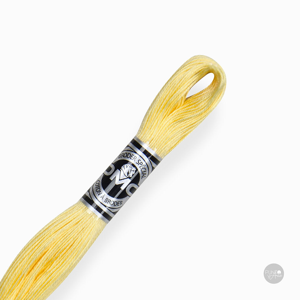 Vista adicional de Hilo Especial para Bordar DMC 107/16: Brillo y calidad en tus bordados