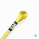 Fil Mouliné Satin DMC - Brillant et Résistant 1008F