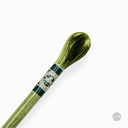 Fil Mouliné Satin DMC - Brillant et Résistant 1008F