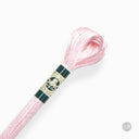 Fil Mouliné Satin DMC - Brillant et Résistant 1008F